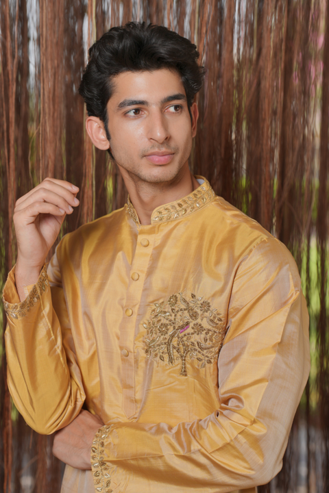Ambaram Kanjivaram — Gold Hand Embroidered Kanjivaram Pattu Tissue Silk Kurta Set
