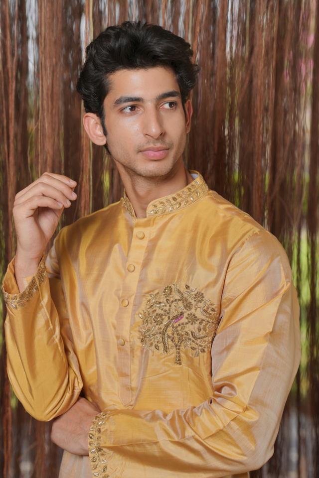 Ambaram Kanjivaram — Gold Hand Embroidered Kanjivaram Pattu Tissue Silk Kurta Set