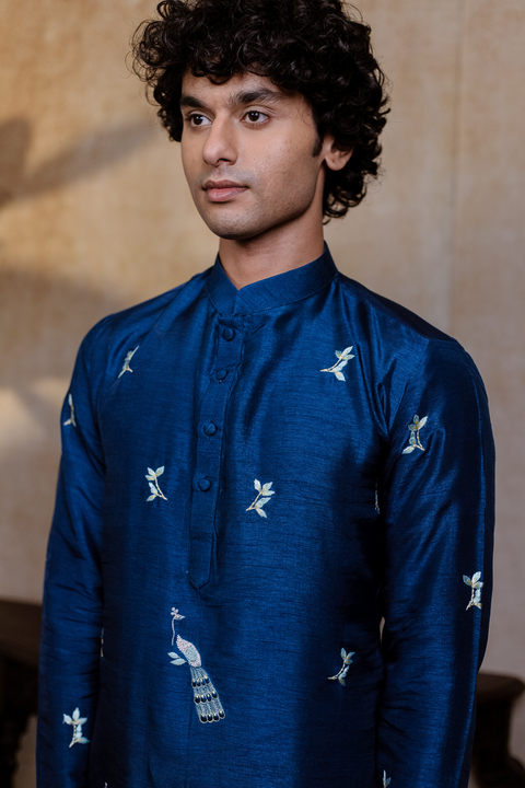 Neel Mayura β Teal Blue Peacock Embroidered Falling Raw Silk Kurta