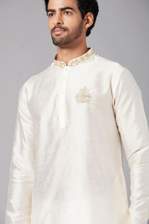 Ecru — White Embroidered Falling Raw Silk Kurta
