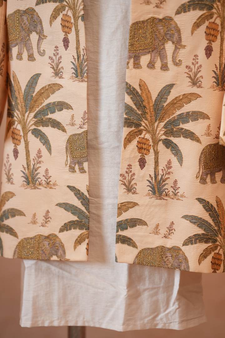 Gaj — Cream Royal Elephant Printed Falling Raw Silk Sherwani